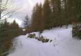 05 - Sentier sous la neige à St Jean Montclar