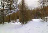 12 - Sentier sous la neige à St Jean Montclar