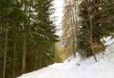 10 - Sentier sous la neige au col St Jean