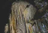 66 - La grotte de Clamouse (la méduse)